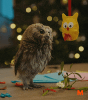 GIF by Migros