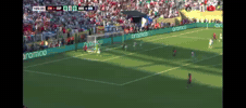La Furia Argentina GIF