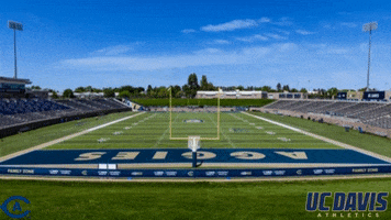 College Football GIF by UC Davis