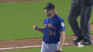 ny mets sport GIF by New York Mets