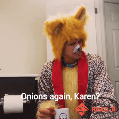 Dog Question GIF by ROAD iD