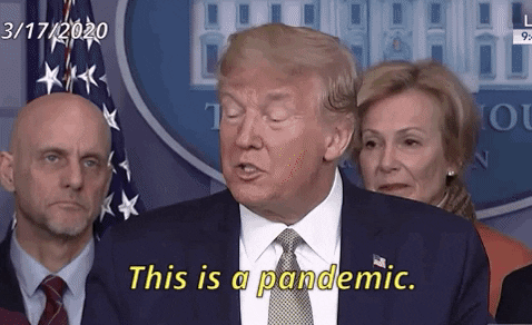 Donald Trump Gif Find Share On Giphy