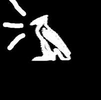 TAYT GIF