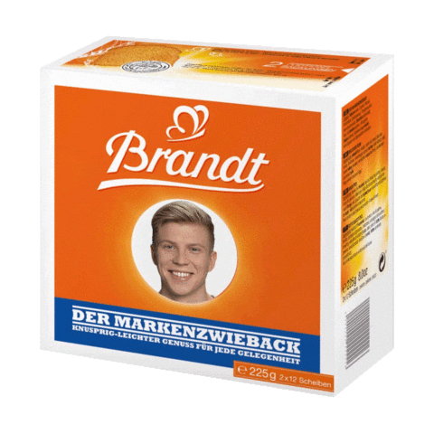 Brandt Sticker by Under Palms