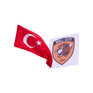 Premier League Team Sticker