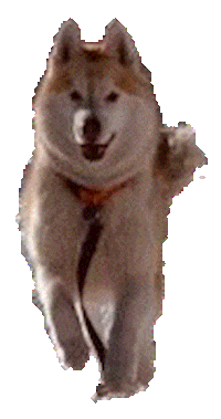 Sticker by Appartements_Andy