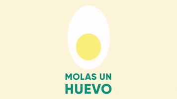 Huevo Molas GIF by Teika