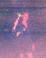 200.gif?cid=fc005b08c3d3a47620ef9e627603987f91085c4272682c3d&rid=200.gif&ct=g