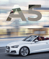 200.gif?cid=fc005b085597e954b6706e8a0b38048209ce7fec27b1ba15&rid=200.gif&ct=g