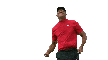 Tiger Woods Sport Sticker by Sports GIFs