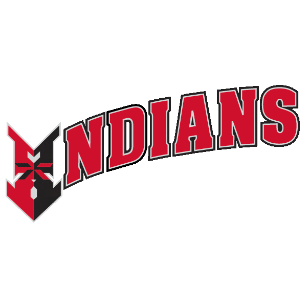 Game Day Sticker by Indianapolis Indians