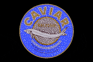 CaviarStar gourmet caviar culinary caviar tin GIF