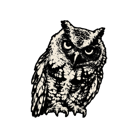 Owl Sticker by LymmAfter