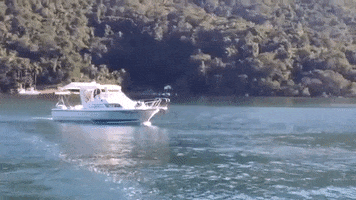 Carbrasmar GIF