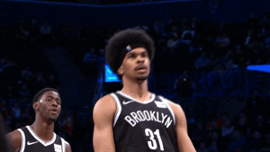 Brooklyn Nets GIF - Brooklyn Nets James - Discover & Share GIFs