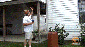 Fails GIF