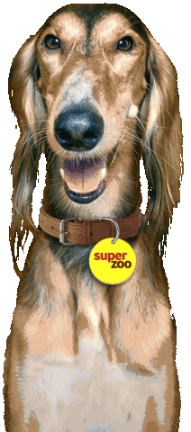 Super zoo SK GIF