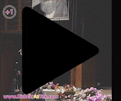Bishtarazyek GIF