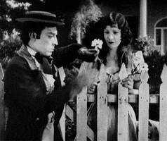 buster keaton a nice flower gif GIF by Maudit