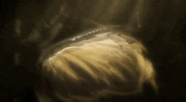 Anime GIF
