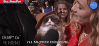 Grumpy Cat - I'll Murder Everyone