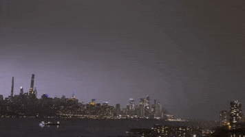 New York City Nyc GIF by Storyful