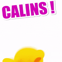 Calin GIF by Titounis