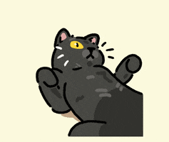 Cat GIF