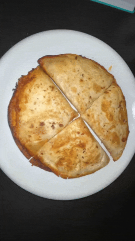 Plate GIF