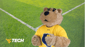 West Virginia Soccer GIF by WVU Tech Golden Bears