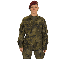 Armáda České republiky Sticker