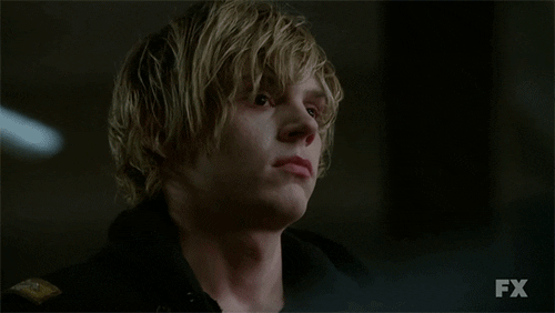 american horror story