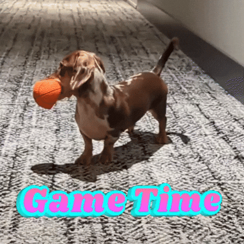 Animated GIF