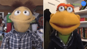 The Muppets Scooter GIF by BuzzFeed