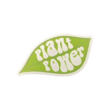 Animated Sticker