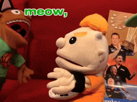 Cat Meow GIF