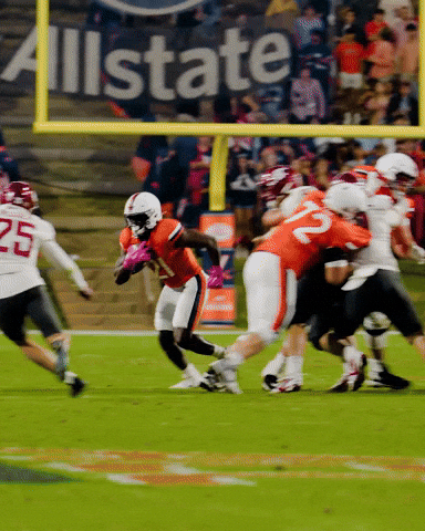 Scott Stadium Uva GIF by Virginia Athletics