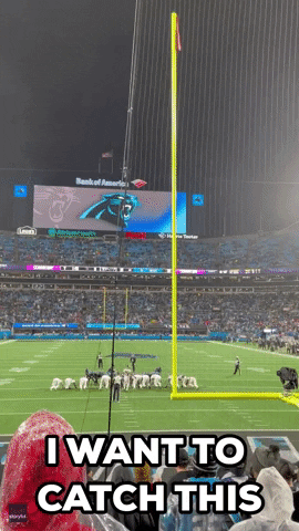 Carolina Panthers Football GIF by Storyful