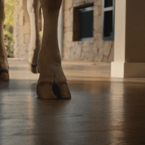 Philadelphia Cream Cheese GIF