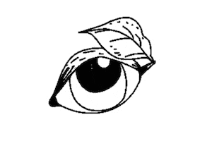 Verina Sifnos Sticker