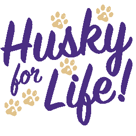 Uw Huskies Sticker by UofWA