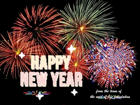 Celebrate Happy New Year GIF by The Seed of Life Foundation