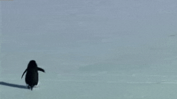 Depressed Penguin GIF