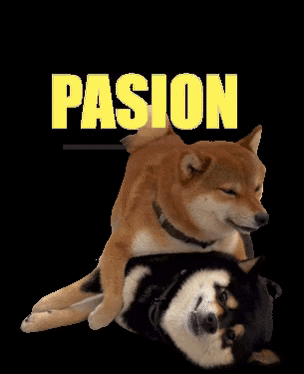 Pasion GIF by Revicheems