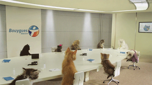 Team Meeting GIF - Find & Share on GIPHY