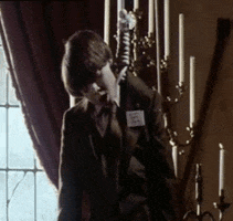 harold and maude cult movies GIF by absurdnoise