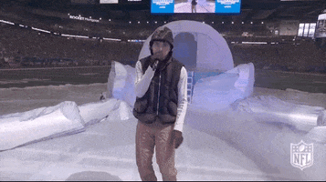 Halftime Show Football GIF by NFL