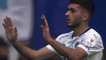 Edin Dzeko GIF by Kral Spor