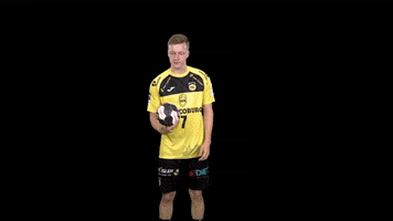 Handball GIF by HSC 2000 Coburg