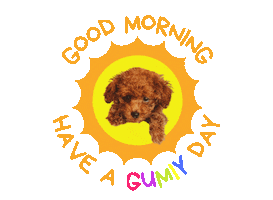 Poodle Sticker by PUPPY PET